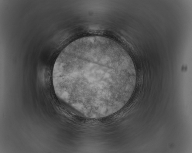 X0000089381154200707131652