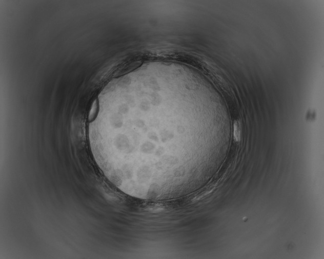 X0000089381155200707131652