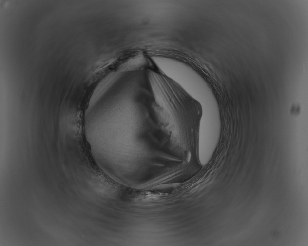 X0000089381156200707131652