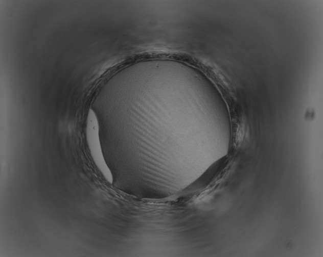 X0000089381157200707131652