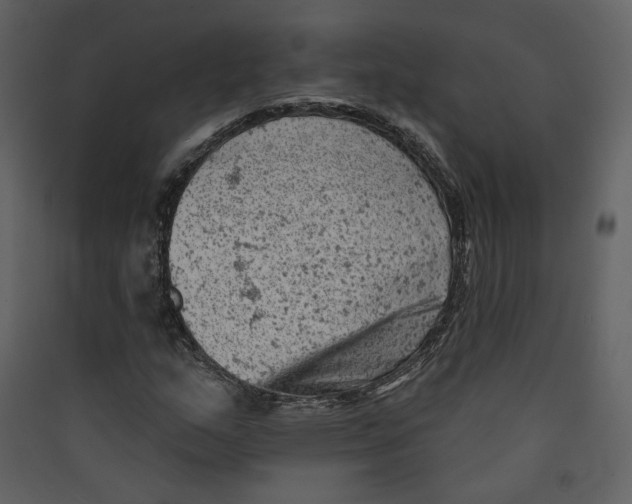 X0000089381159200707131652