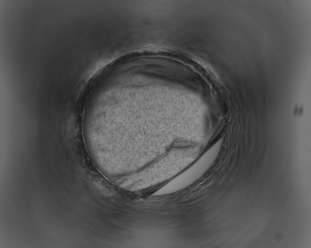 X0000089381160200707131652