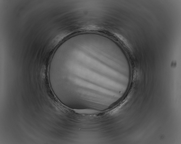 X0000089381161200707131652