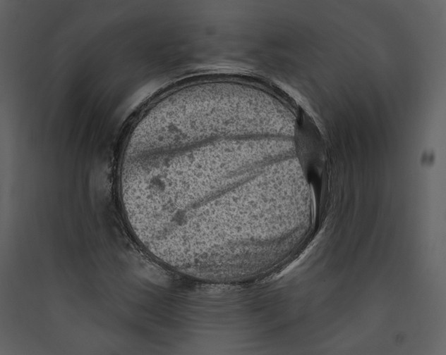 X0000089381163200707131652