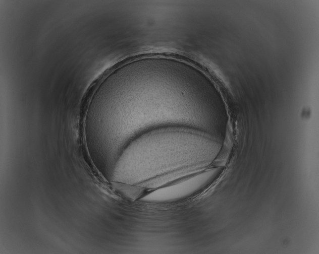 X0000089381165200707131652