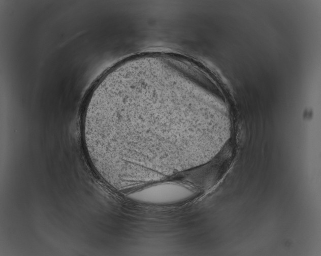 X0000089381167200707131652