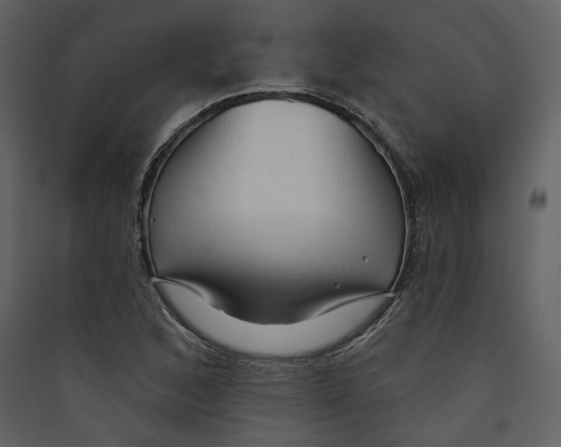 X0000089381168200707131652