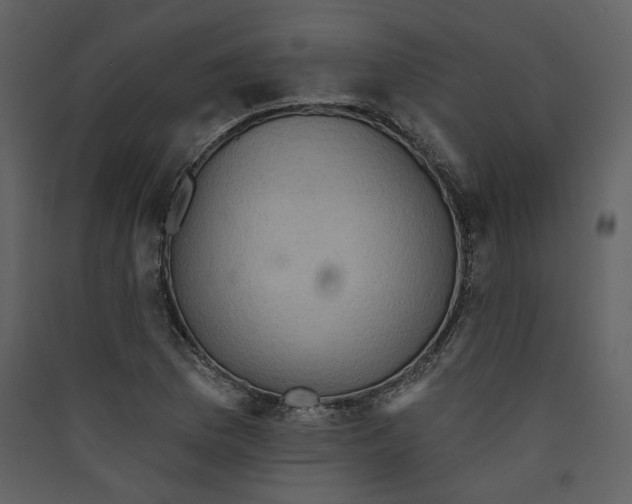 X0000089381169200707131652