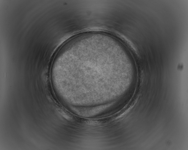 X0000089381170200707131652