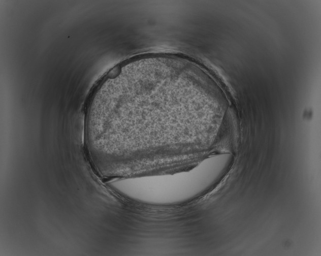 X0000089381171200707131652