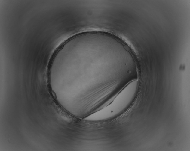 X0000089381173200707131652