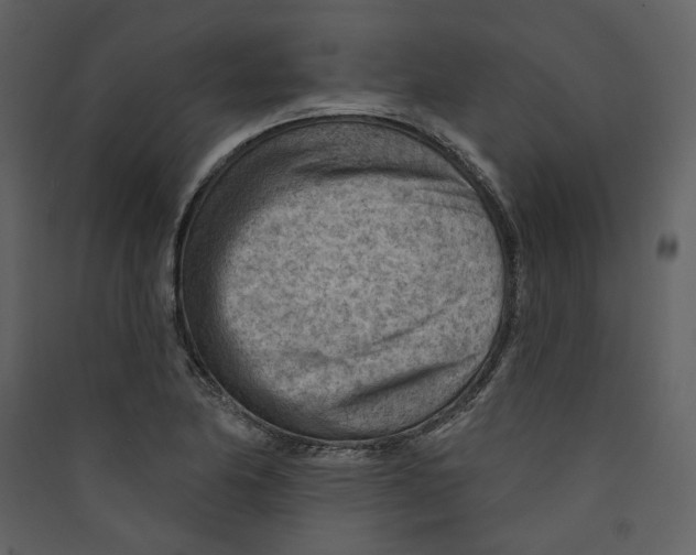 X0000089381174200707131652