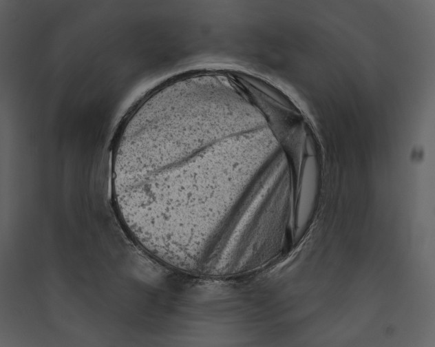 X0000089381175200707131652