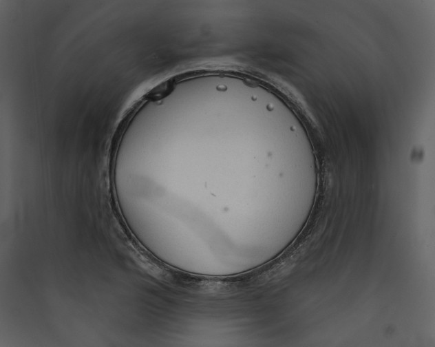 X0000089381176200707131652