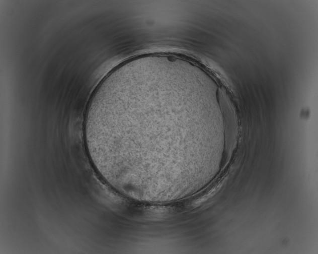 X0000089381177200707131652