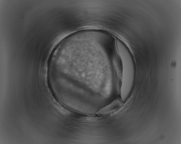 X0000089381179200707131652