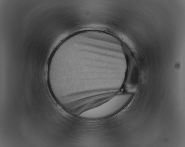 X0000089381180200707131652