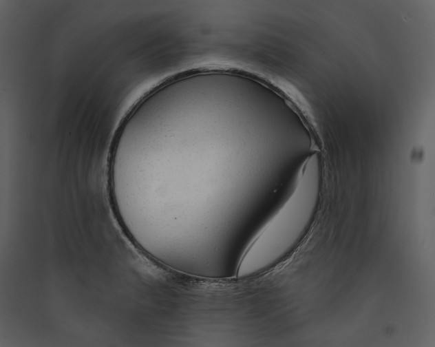 X0000089381183200707131652