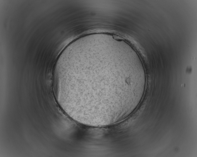 X0000089381185200707131652