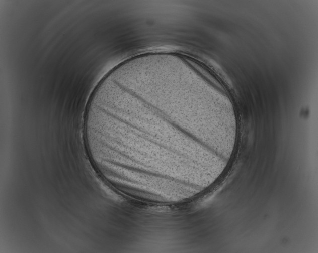 X0000089381186200707131652