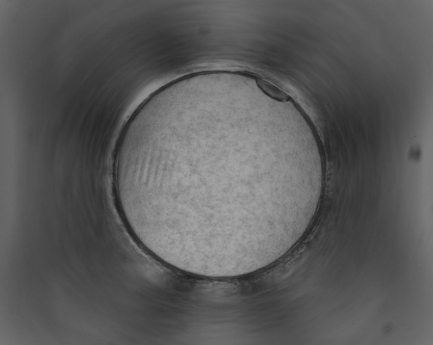 X0000089381187200707131652