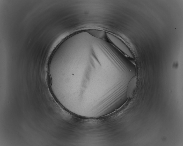 X0000089381188200707131652