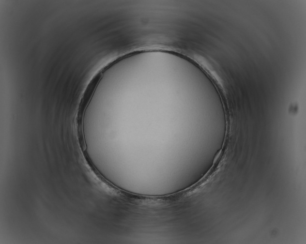 X0000089381189200707131652