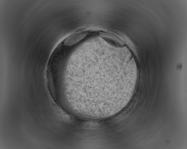 X0000089381190200707131652