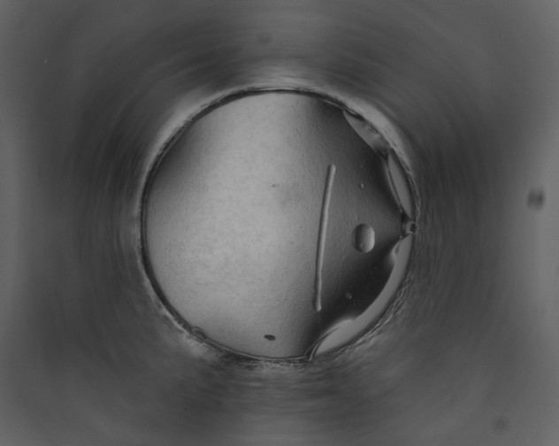 X0000089381191200707131652