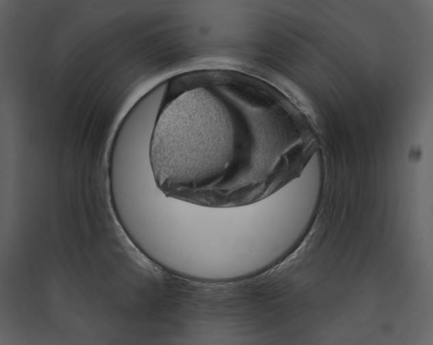 X0000089381192200707131652