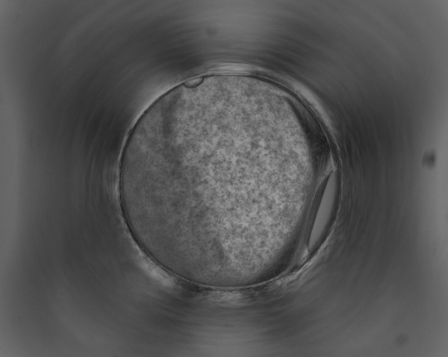 X0000089381194200707131652