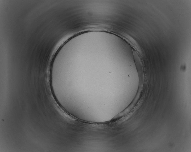 X0000089381196200707131652