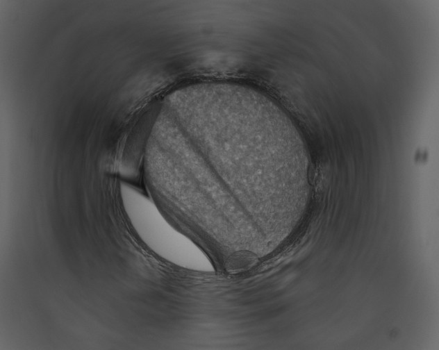 X0000089381202200707131651