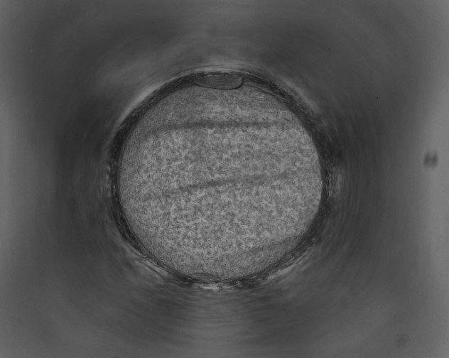 X0000089381208200707131651