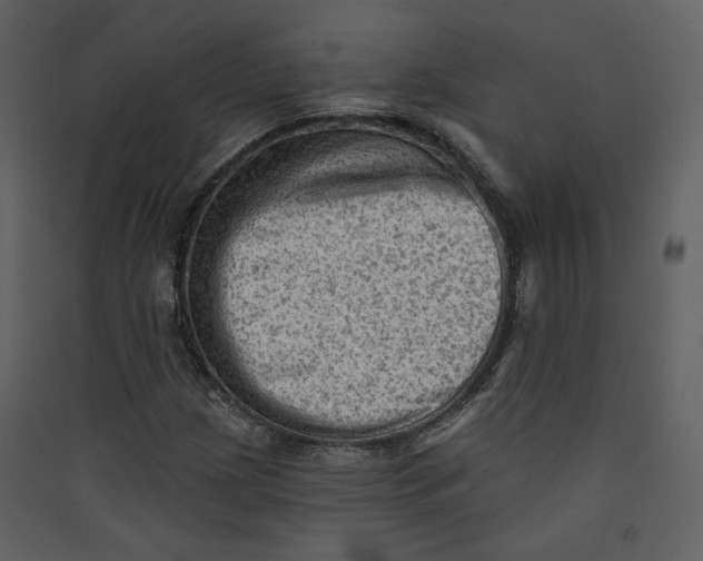 X0000089381209200707131651