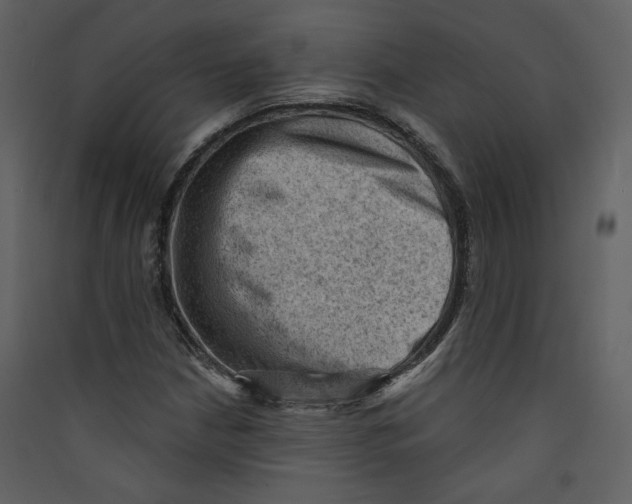 X0000089381210200707131651