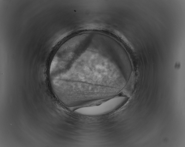 X0000089381213200707131651