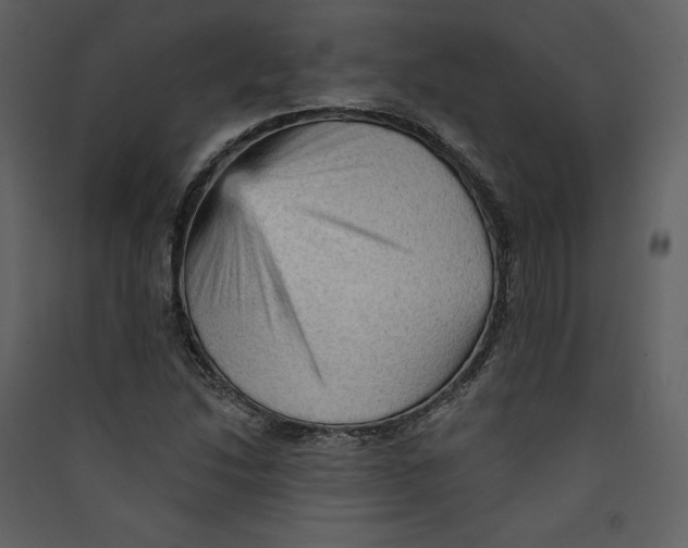 X0000089381214200707131651