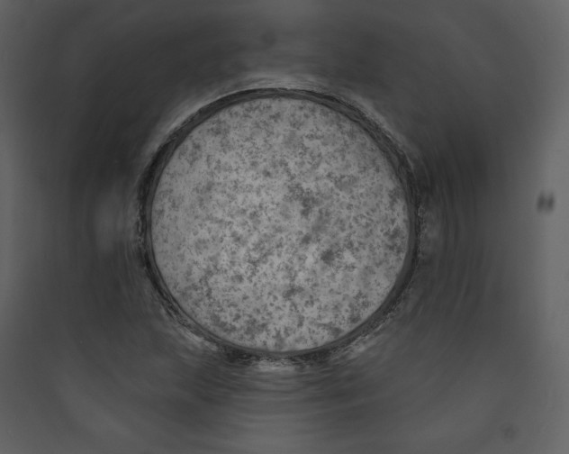 X0000089381215200707131651