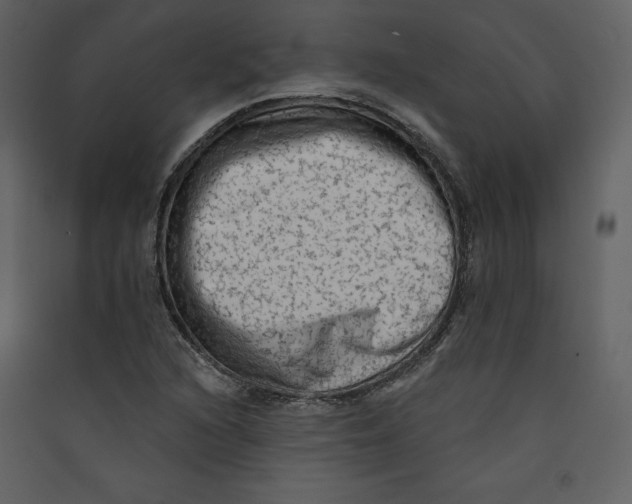 X0000089381216200707131651