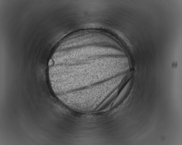 X0000089381217200707131651