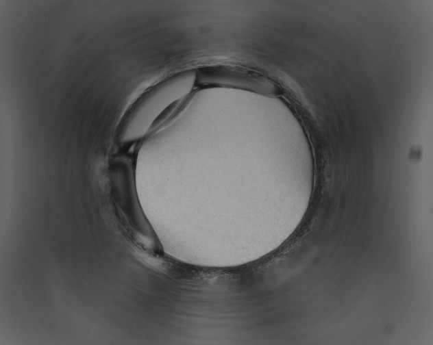 X0000089381218200707131651