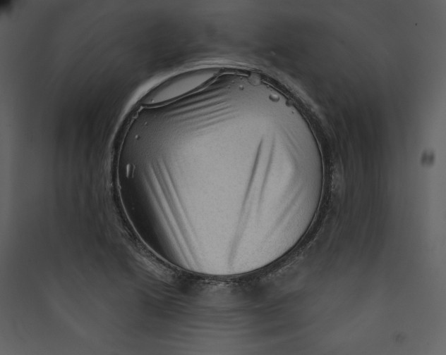 X0000089381222200707131651