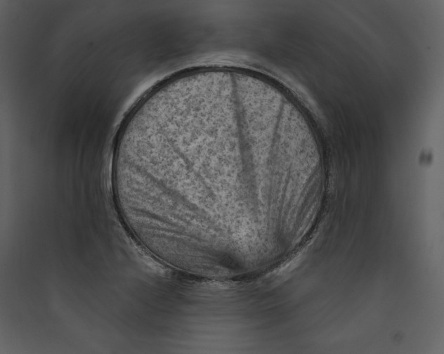 X0000089381224200707131651