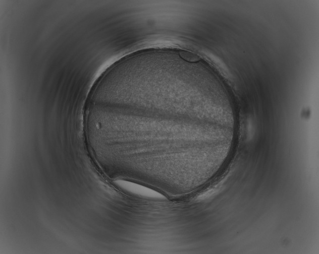 X0000089381226200707131651