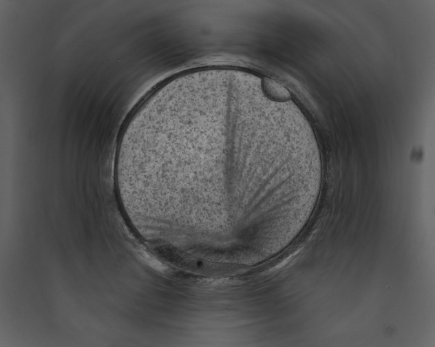 X0000089381228200707131651