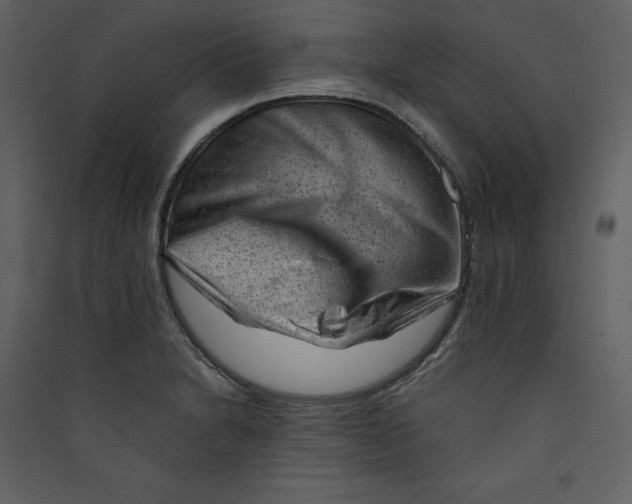 X0000089381230200707131651