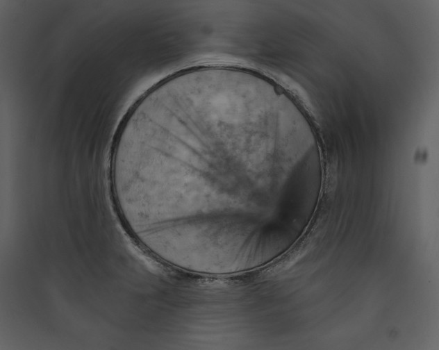 X0000089381231200707131651