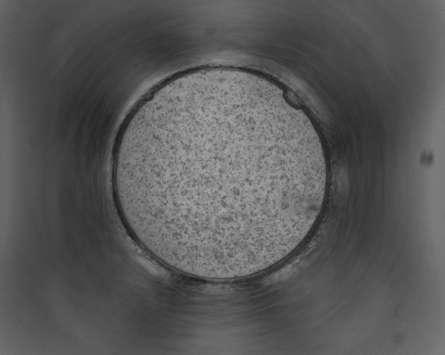 X0000089381232200707131651