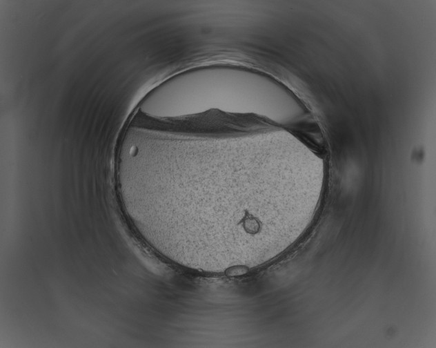 X0000089381234200707131651